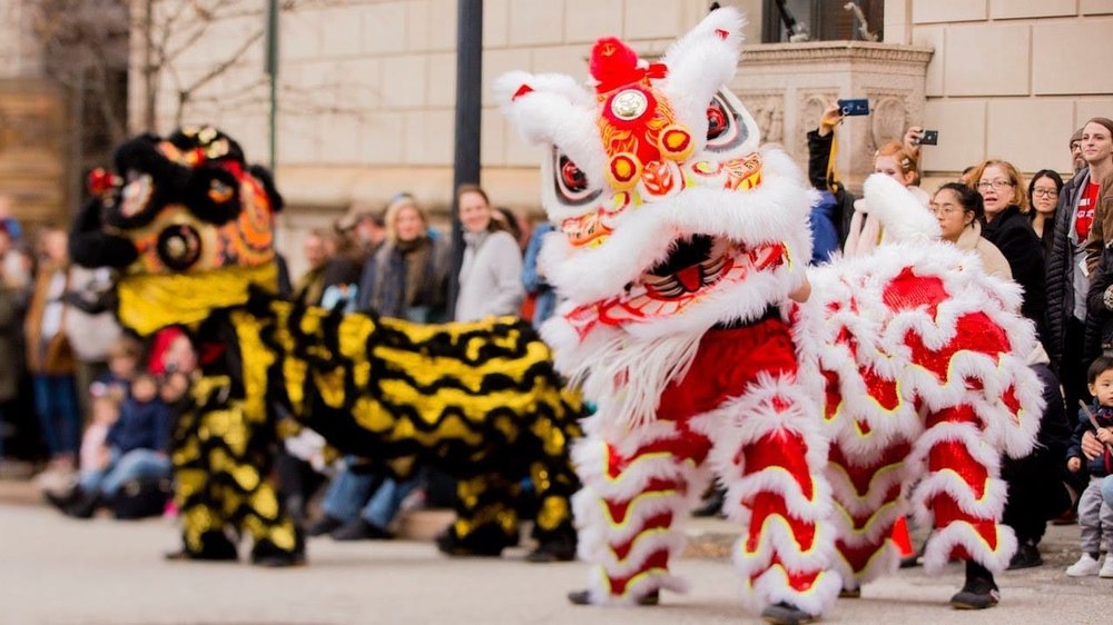 Chinese lion dance performance